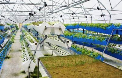 Як створити вертикальну ферму в Україні?
