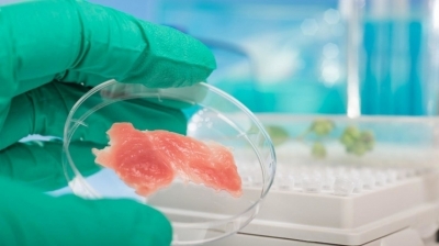 Мяса и зрелищ: как лабораторные волокна заменят говядину и рыбу