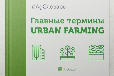 AgСловарь: главные термины Urban Farming