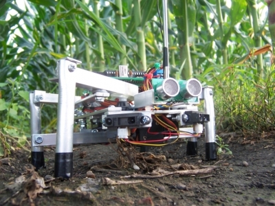 Как роботы изменят сельское хозяйство через 5-10 лет