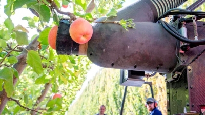 Робот, который может собирать одно яблоко в секунду